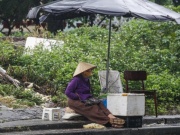 Không khí lạnh liên tiếp, rét đậm rét hại có khả năng gia tăng trong tháng tới