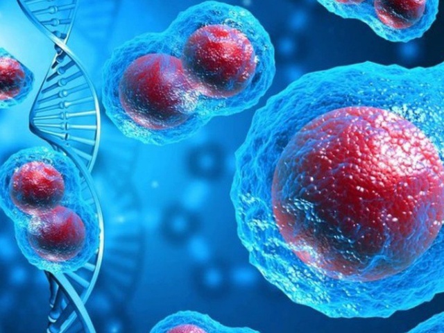 Tế bào ung thư hình thành như thế nào? Cơ thể cần gì để chống lại sự phát triển của chúng?