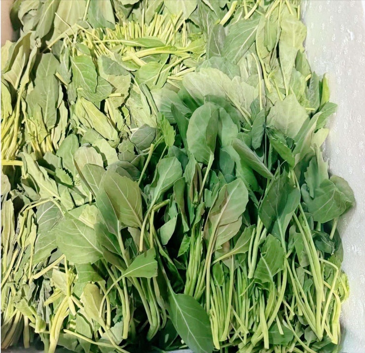 Loại rau giòn ngọt, giúp ẩm phổi, giảm ho, sáng mắt, xào đơn giản vẫn thơm ngon cực kỳ - 4