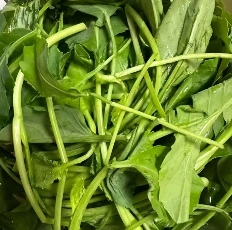 Loại rau giòn ngọt, giúp ẩm phổi, giảm ho, sáng mắt, xào đơn giản vẫn thơm ngon cực kỳ - 7