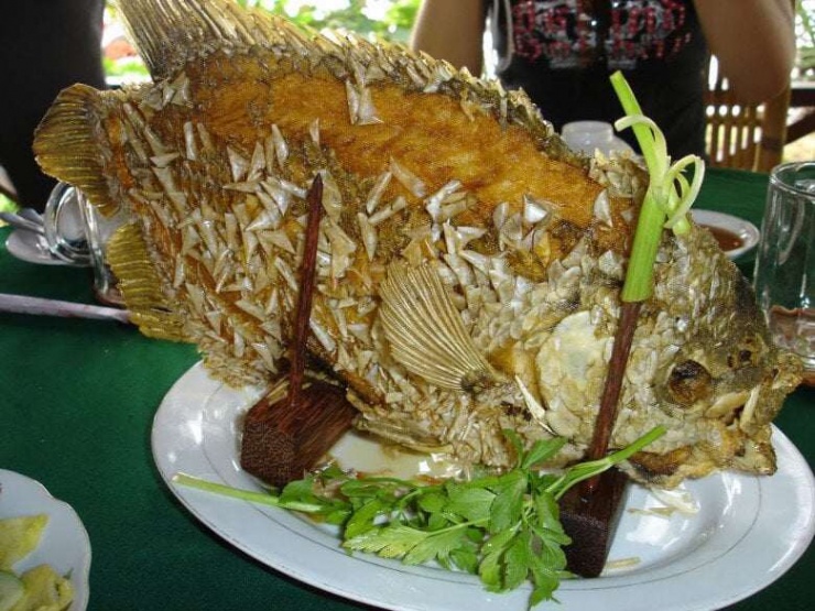 Loài cá có tai lạ là đặc sản nổi tiếng miền Tây, đem làm món nhìn đã nổi da gà nhưng lại là tuyệt đỉnh ẩm thực - 3