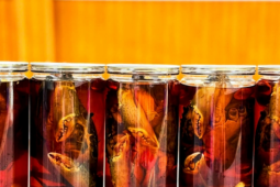 Đặc sản cua gạch Cà Mau ngâm nước mắm giá gần 1 triệu đồng/kg