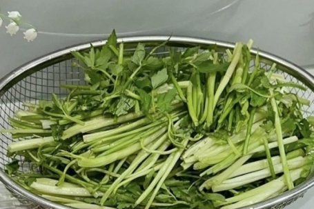 Loại rau làm mát gan, hạ huyết áp nhưng 4 nhóm người không nên ăn