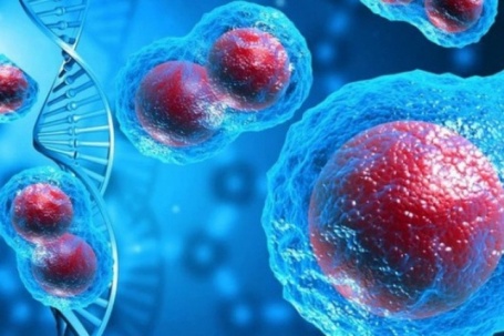 Tế bào ung thư hình thành như thế nào? Cơ thể cần gì để chống lại sự...