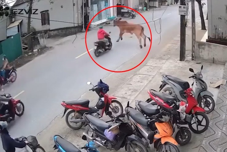 Clip: Thót tim "Lamborghini" lao ra từ ngõ, hạ gục người đi đường trong tích tắc