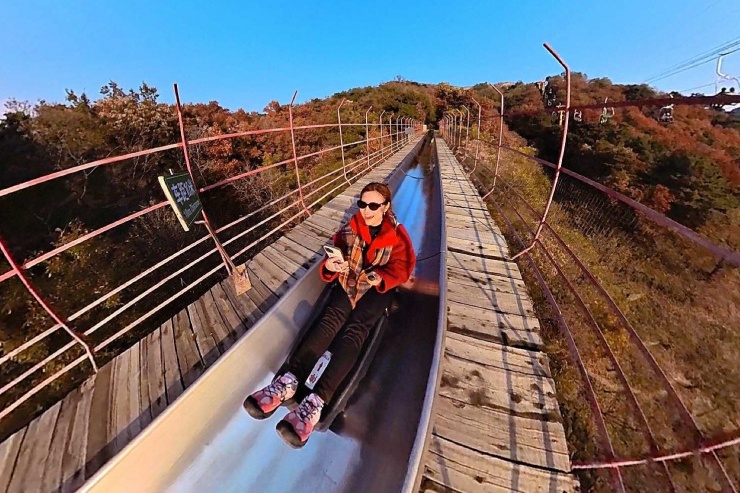 Cánh đồng hoa hướng dương cách Hà Nội 250 km, khách đi từ nửa đêm tới check-in - 8