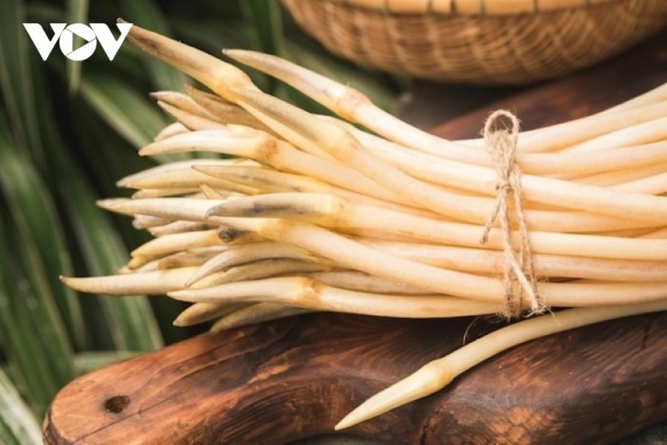 Ngó sen cực quen mặt ở Việt Nam lại tốt cho sức khỏe. (Ảnh: Freepik)