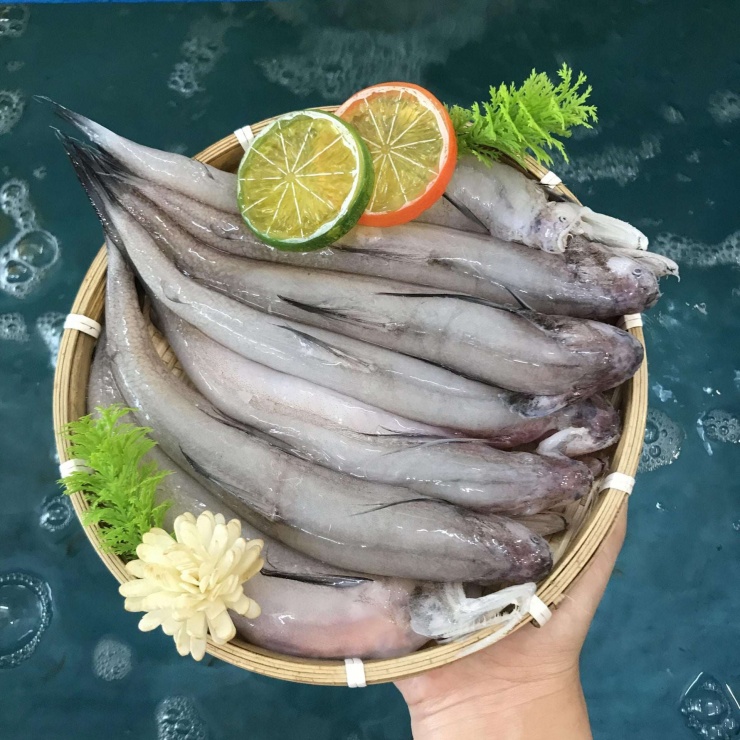 Cá khoai là cá gì mà 