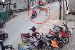 Clip: Thót tim "Lamborghini" lao ra từ ngõ, hạ gục người đi đường trong tích tắc