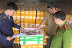 Mua cá khoai chứa formol từ Trung Quốc 37.000 đồng, chở về biển Sầm Sơn bán 130.000 đồng/kg