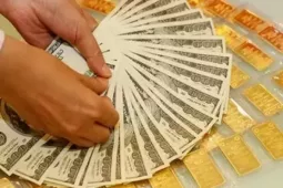 Dự báo thị trường vàng, tỷ giá USD năm 2026