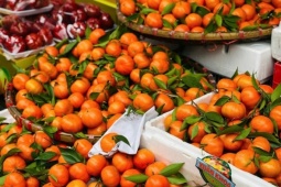 Tiểu thương 'tiết lộ' nguồn gốc thực sự của một loại cam đang bán tràn ngập chợ Việt