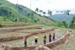 Sơn Tây Thượng đẹp mơ màng vào mùa nước đổ