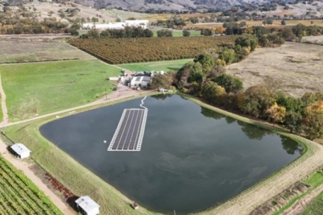 Biến mái nhà và ao cá thành nguồn điện, chủ trang trại nho thu tiền 'khủng'