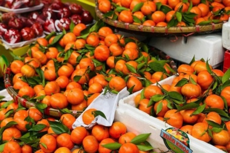 Tiểu thương 'tiết lộ' nguồn gốc thực sự của một loại cam đang bán tràn ngập chợ Việt
