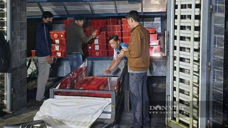 Giai đoạn cuối năm là thời điểm hoạt động vận chuyển hàng hoá trái phép, buôn lậu tăng tại tỉnh Quảng Trị. Ảnh: Trần Khôi.