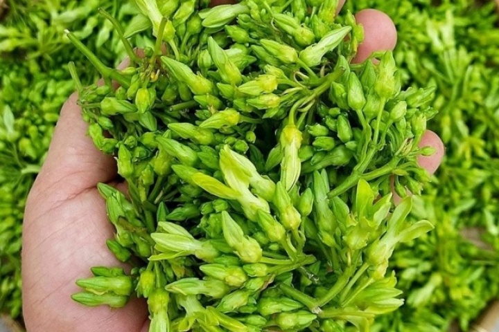2 món rau của người Việt là 'thuốc chữa đau đầu', ăn vào ngủ ngon đến sáng