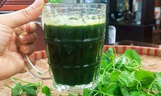 Bệnh nhân bị nhiệt miệng có thể uống nước rau má trong vài ngày, cảm giác đau xót sẽ biến mất.