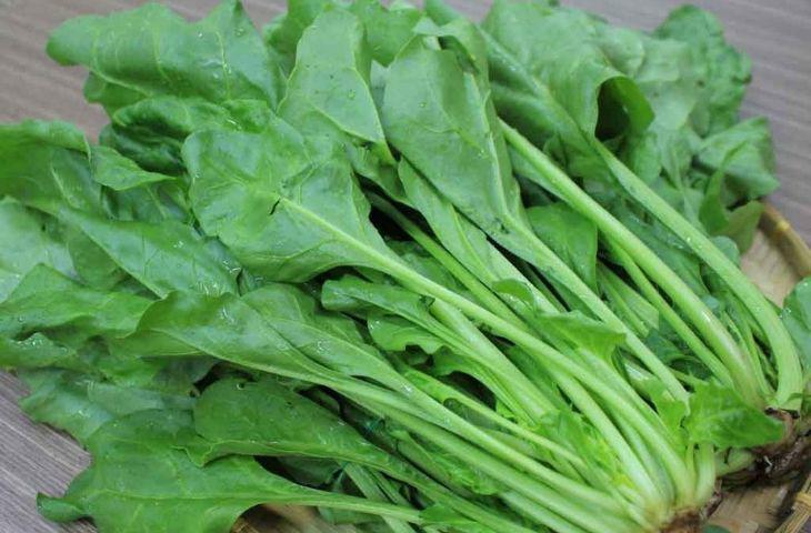 Cải bó xôi phù hợp cho giảm cân vào mùa đông.