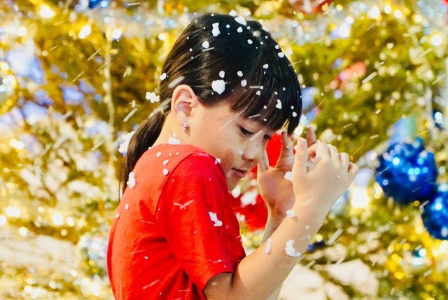 Người dân cả nước đổ ra đường đón Giáng sinh - 16