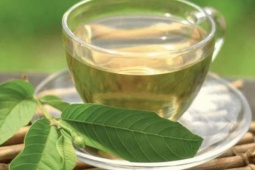 Uống gì để bù nước khi bị tiêu chảy?