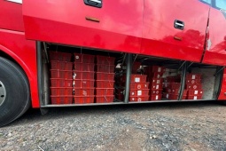 Phát hiện vụ vận chuyển trái phép gần 1 tấn rắn hổ mang ở Quảng Trị