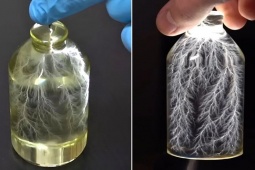 YouTuber tạo ra "sấm sét hóa thạch" 3D được "nhốt" trong lọ thủy tinh