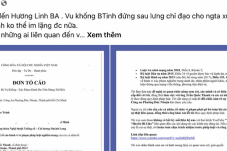 Nghệ sĩ Bình Tinh tố cáo nhiều người