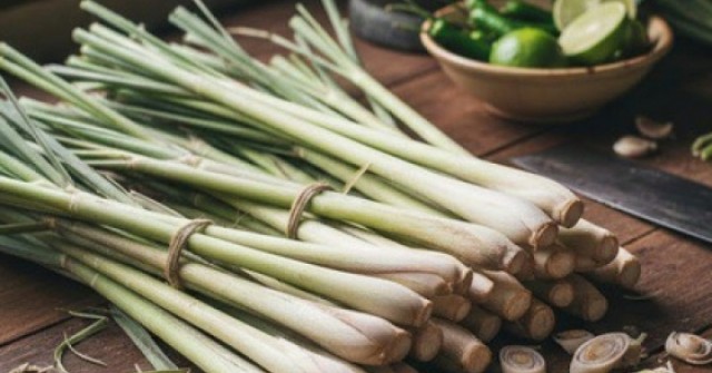 4 lý do nên sử dụng củ sả trong nhiều món ăn hằng ngày