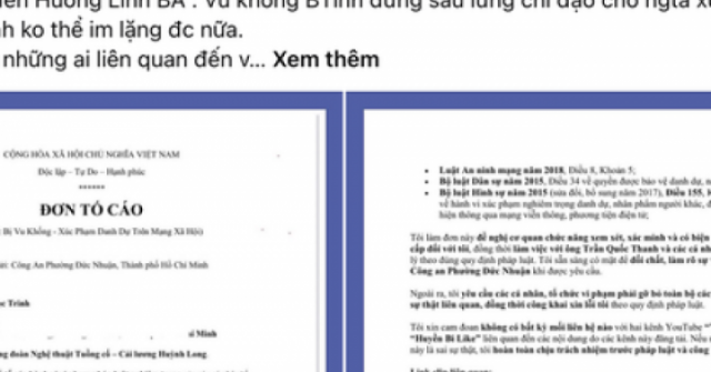 Nghệ sĩ Bình Tinh tố cáo nhiều người