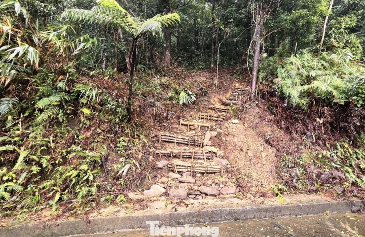 Tuy nhiên, lãnh đạo Vườn Quốc gia Bạch Mã lưu ý, các giải pháp hiện nay chỉ mang tính tình thế, chưa đảm bảo an toàn và ổn định về lâu dài, đồng thời ảnh hưởng đáng kể đến công tác tuần tra, cơ động và nhiệm vụ phòng cháy, chữa cháy rừng trong mùa khô sắp tới. Theo ông Linh, với các phương án khắc phục tạm thời được áp dụng, Vườn Quốc gia Bạch Mã dự kiến mở cửa đón khách tham quan trở lại từ ngày 3/1/2026, khi điều kiện an toàn của việc qua lại tại khu vực sạt lở được đảm bảo hơn. Theo đó, từ vị trí Km12 trở lên đỉnh Bạch Mã, du khách bắt buộc di chuyển bằng hình thức đi bộ khi tham quan Vườn.