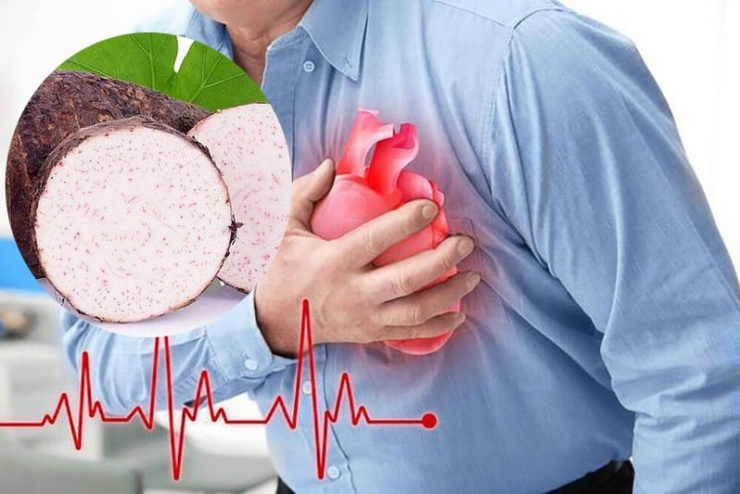 Loại 'củ trường thọ' cực sẵn ở Việt Nam, ngăn ngừa nguy cơ mắc bệnh ung thư, nấu được đủ món ngon - 3