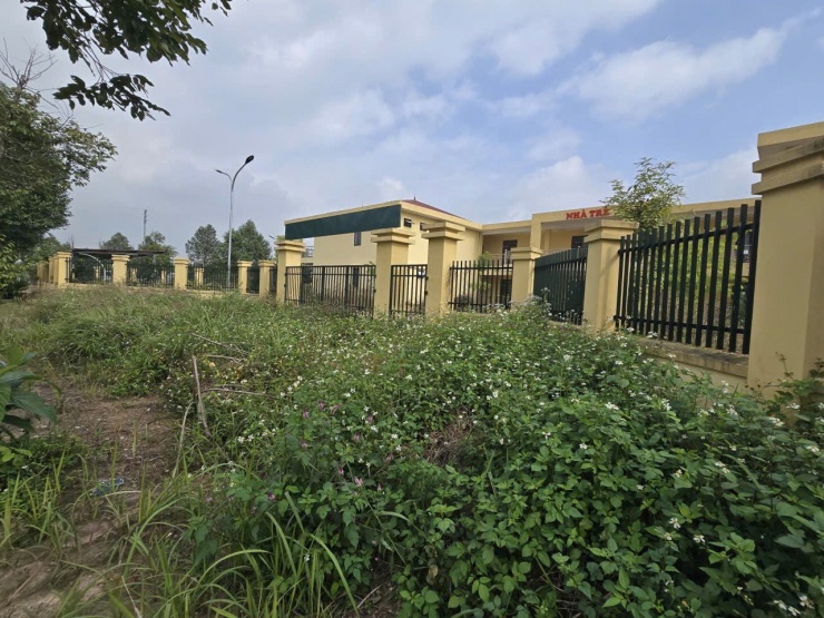 Xót xa hai ngôi trường khang trang bỏ hoang nhiều năm ở Hà Nội - 10