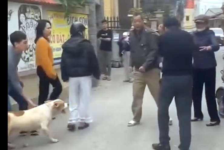 Hình ảnh được cho là nam thanh niên xua chó xông vào đám ẩu đả. Ảnh cắt từ clip
