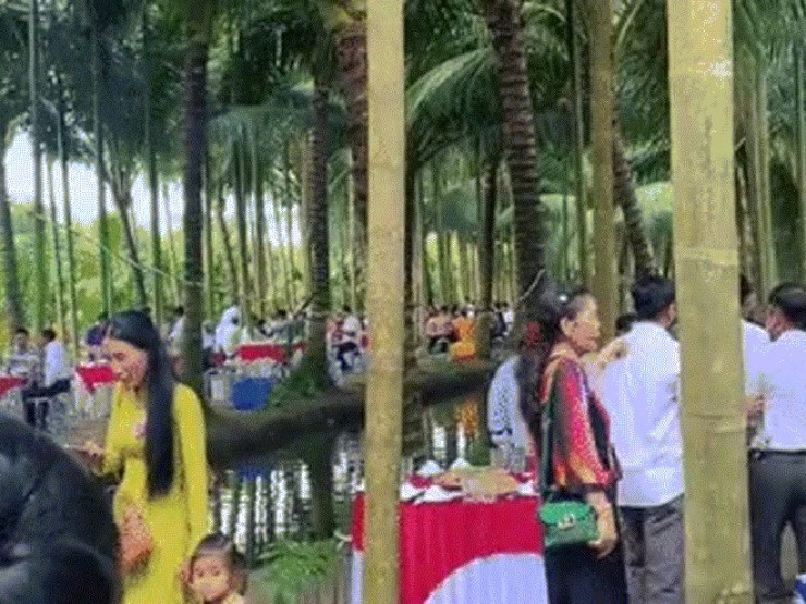 Chú rể Vĩnh Long làm 80 mâm cỗ ở vườn dừa 10.000m², mắc võng cho khách nghỉ ngơi