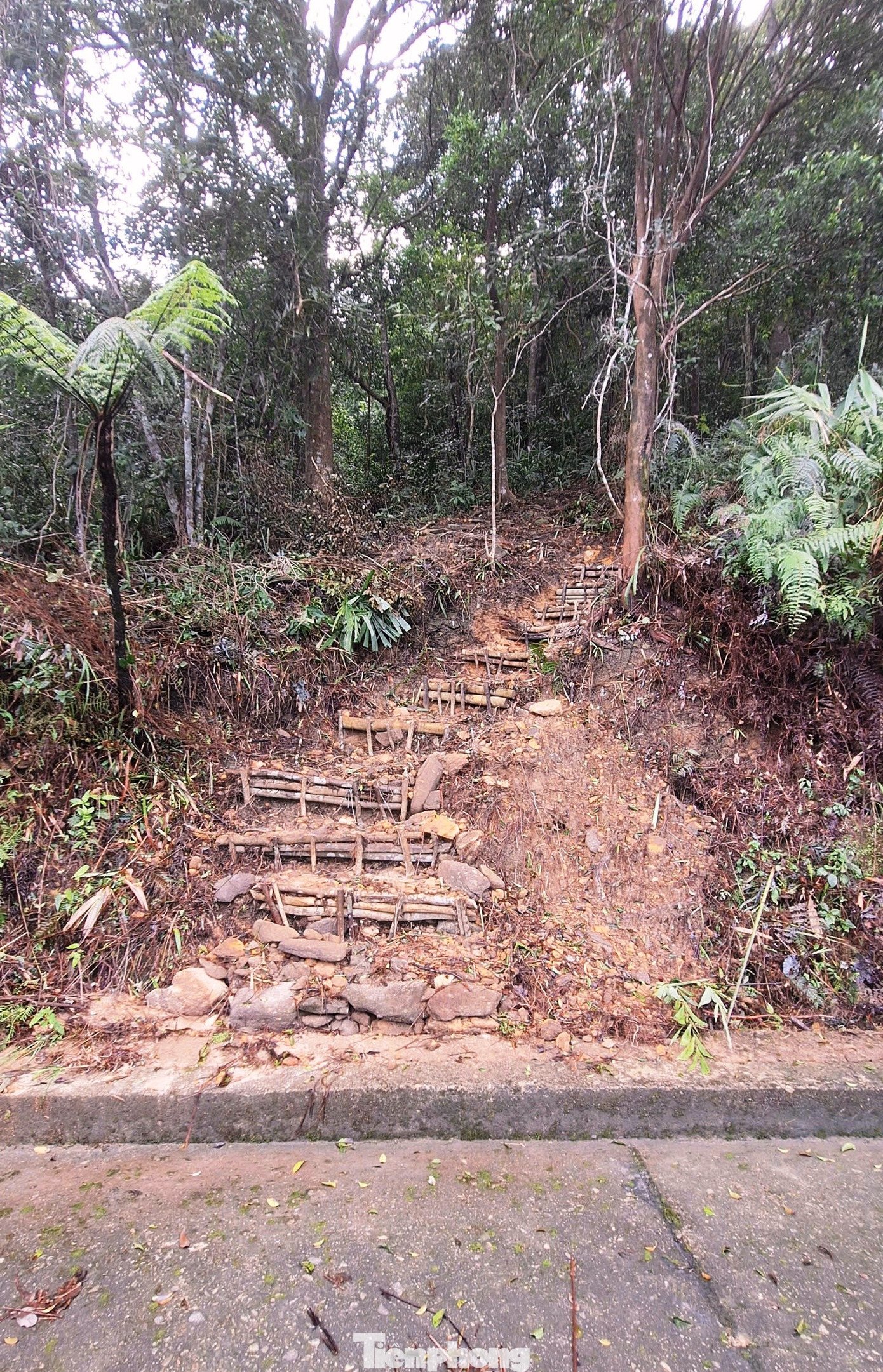Trong thời gian chờ phê duyệt chủ trương đầu tư, nhằm không làm gián đoạn công tác tuần tra, quản lý bảo vệ rừng và phòng cháy, chữa cháy rừng, Giám đốc Vườn Quốc gia Bạch Mã đã chỉ đạo mở lối mòn tạm thời từ hạ lưu, vượt qua khu vực sạt lở để kết nối với tuyến đường chính. Đồng thời, đơn vị đề xuất lắp đặt hệ thống ròng rọc nhằm vận chuyển nhu yếu phẩm, trang thiết bị phục vụ lực lượng kiểm lâm tại Trạm Kiểm lâm đỉnh Bạch Mã.