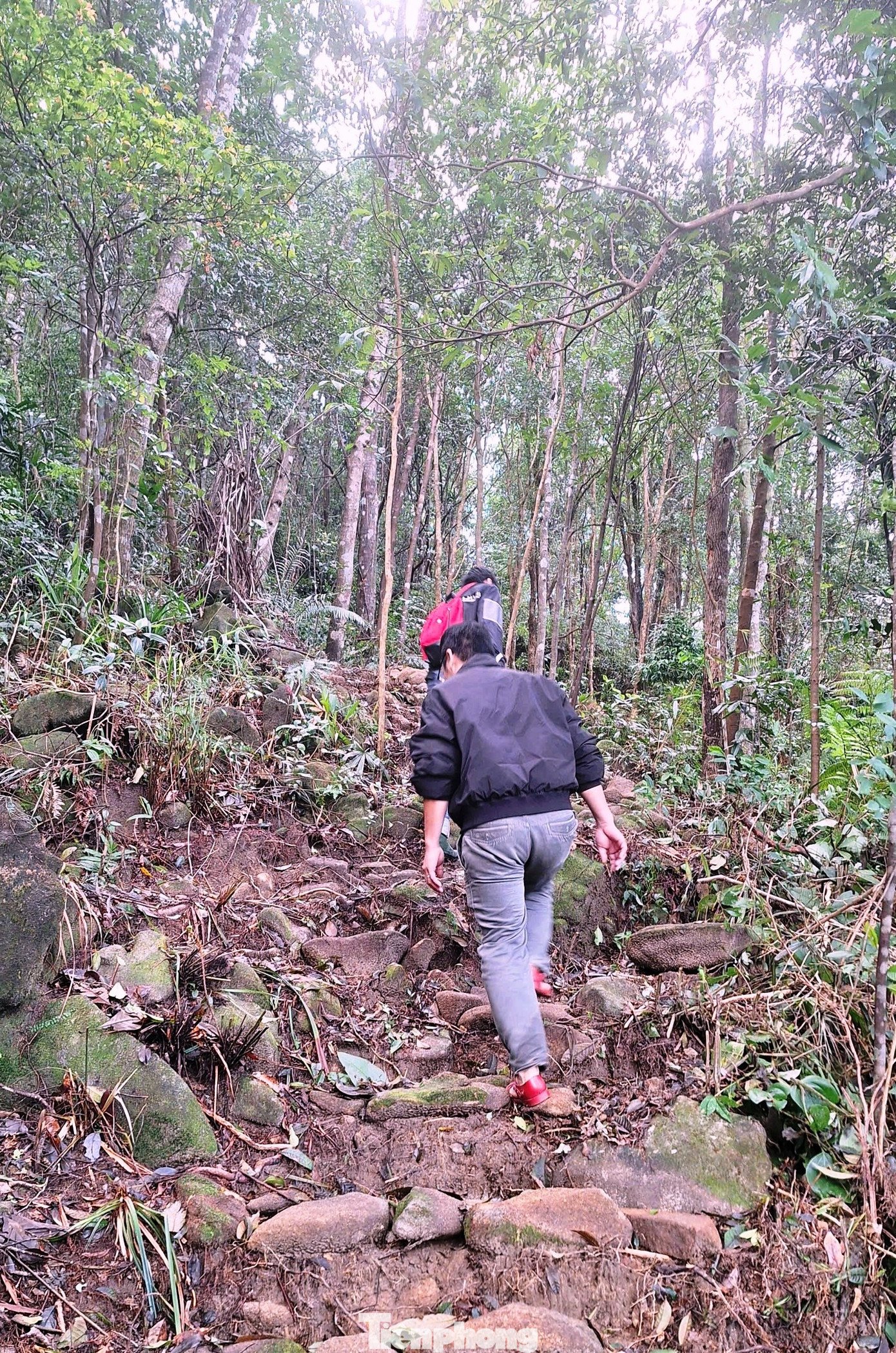 Trong thời gian chờ phê duyệt chủ trương đầu tư, nhằm không làm gián đoạn công tác tuần tra, quản lý bảo vệ rừng và phòng cháy, chữa cháy rừng, Giám đốc Vườn Quốc gia Bạch Mã đã chỉ đạo mở lối mòn tạm thời từ hạ lưu, vượt qua khu vực sạt lở để kết nối với tuyến đường chính. Đồng thời, đơn vị đề xuất lắp đặt hệ thống ròng rọc nhằm vận chuyển nhu yếu phẩm, trang thiết bị phục vụ lực lượng kiểm lâm tại Trạm Kiểm lâm đỉnh Bạch Mã.