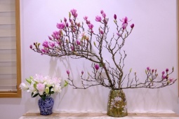 Loại hoa của Trung Quốc “đổ bộ” chợ Hà Nội, chị em “thi nhau” mua về cắm với giá hàng triệu đồng/cành