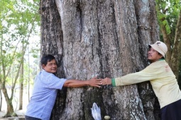 Chiêm ngưỡng 2 ‘báu vật’ trăm năm tuổi trong ngôi chùa mang tên một loài hoa