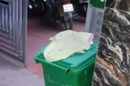 Xác minh vụ bé nam sơ sinh tử vong trong thùng rác ở Bắc Ninh