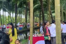 Chú rể Vĩnh Long làm 80 mâm cỗ ở vườn dừa 10.000m², mắc võng cho khách nghỉ ngơi