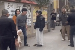 Xác minh clip chó bị xua vào đám ẩu đả giữa hai người đàn ông, quay ra cắn phụ nữ