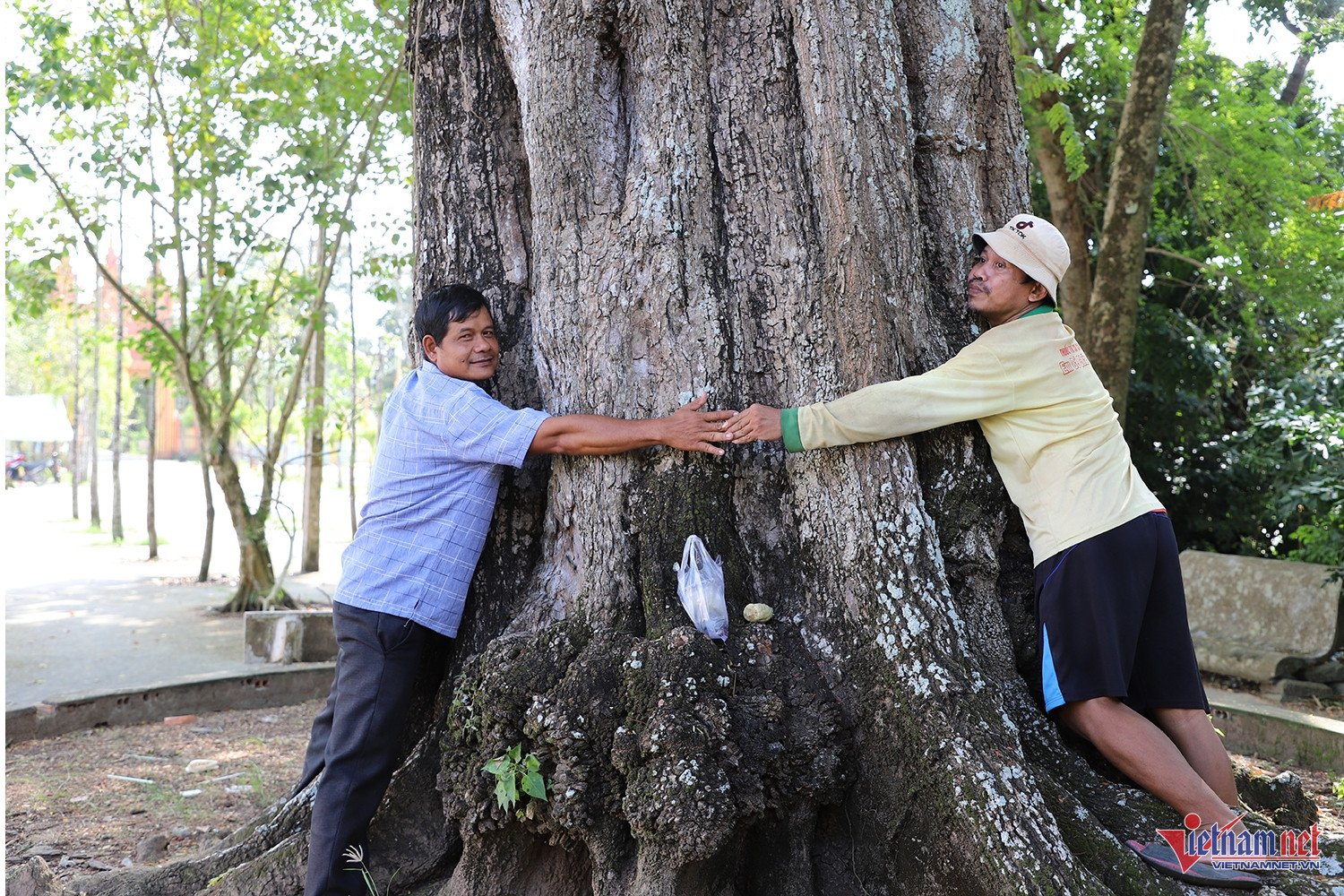 Chiêm ngưỡng 2 ‘báu vật’ trăm năm tuổi trong ngôi chùa mang tên một loài hoa - 5