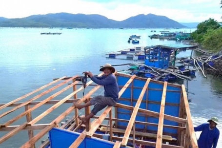 Tôm giống, vật tư tăng giá, 'thủ phủ' tôm hùm Sông Cầu chật vật gượng dậy sau lũ