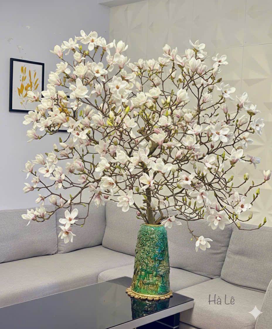 Một cành mộc lan nhỏ khác được chị Hà Lê chăm nở rực rỡ. (Ảnh: Hà Lê).