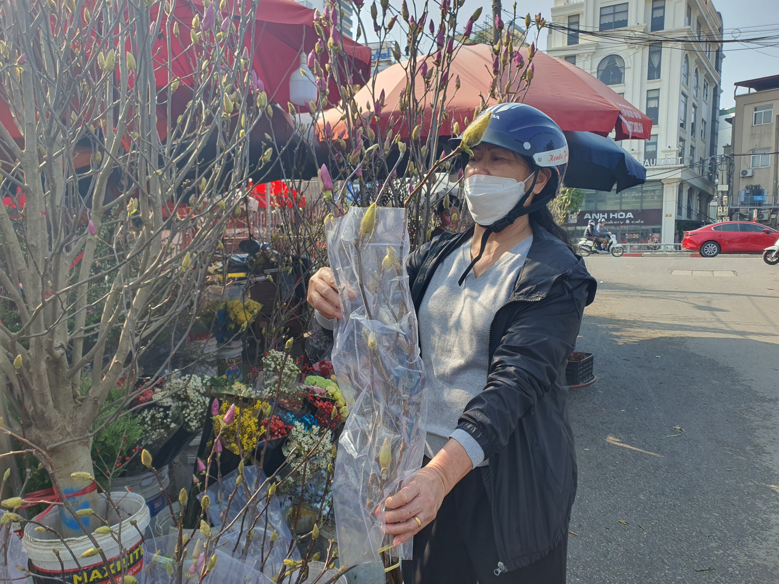 Nhiều người mua loại hoa này về chơi.