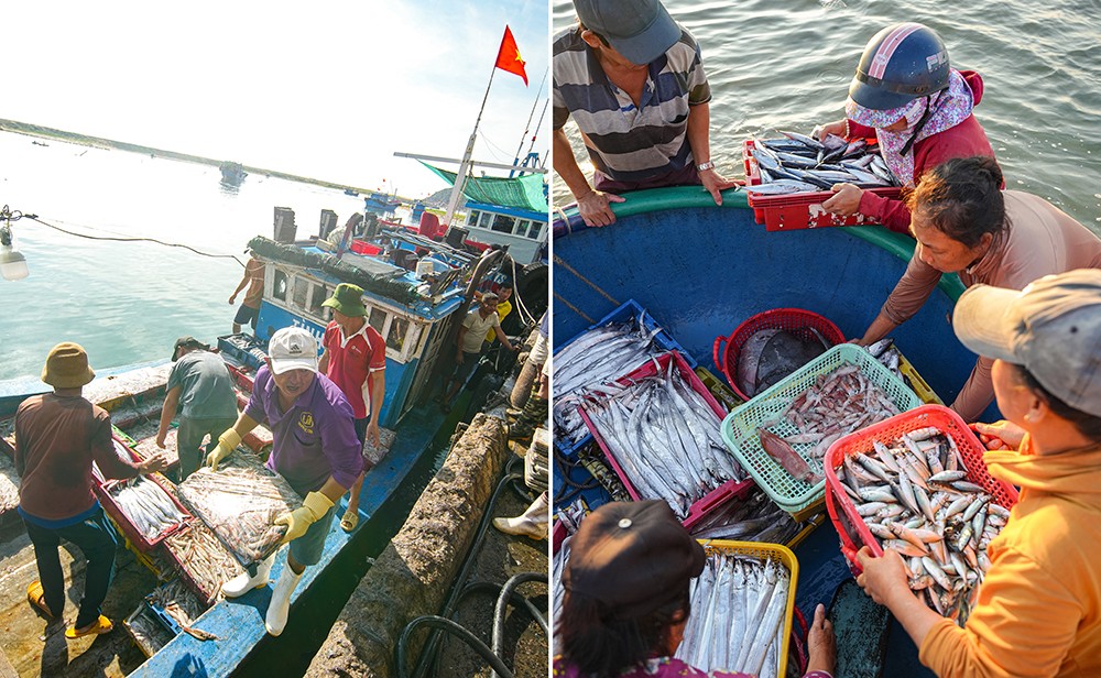  Những khoang thuyền đầy ắp cá trở về trong niềm hân hoan của người dân