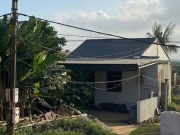 ‘Nữ quái’ giả chết 5 năm trục lợi bảo hiểm: Anh trai tiết lộ thông tin bất ngờ