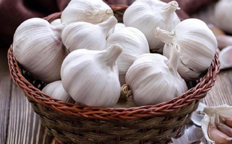 Ngo&agrave;i l&agrave;m gia vị, củ tỏi c&ograve;n được d&ugrave;ng để ph&ograve;ng v&agrave; chống một số bệnh th&ocirc;ng thường.