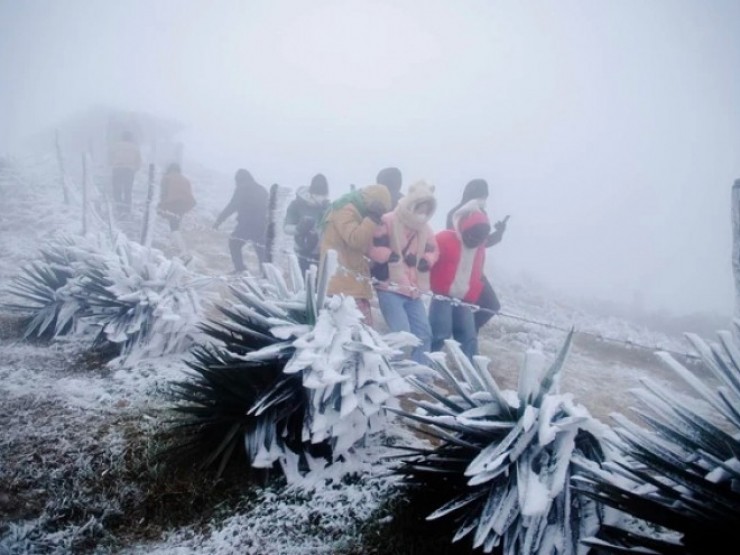 Miền Bắc chìm trong không khí lạnh, khả năng xuất hiện băng giá